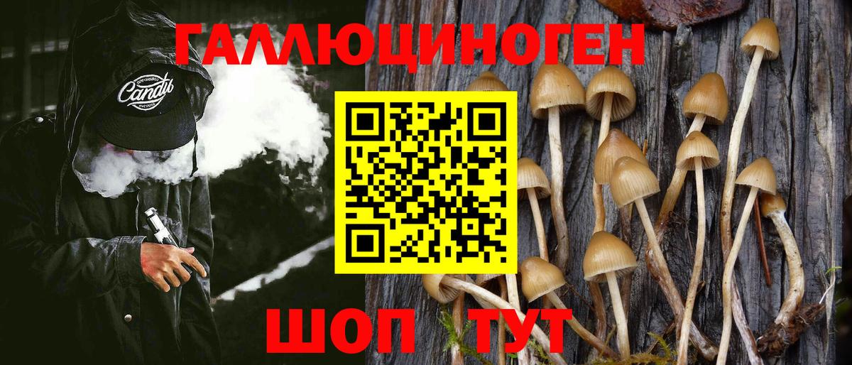Псилоцибиновые грибы Psilocybe  Вход с VPN  Ростов Великий  Псилоцибиновые грибы прущие грибы 